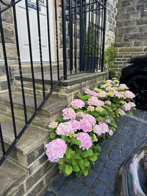 Ilkley Garden Suite エクステリア 写真