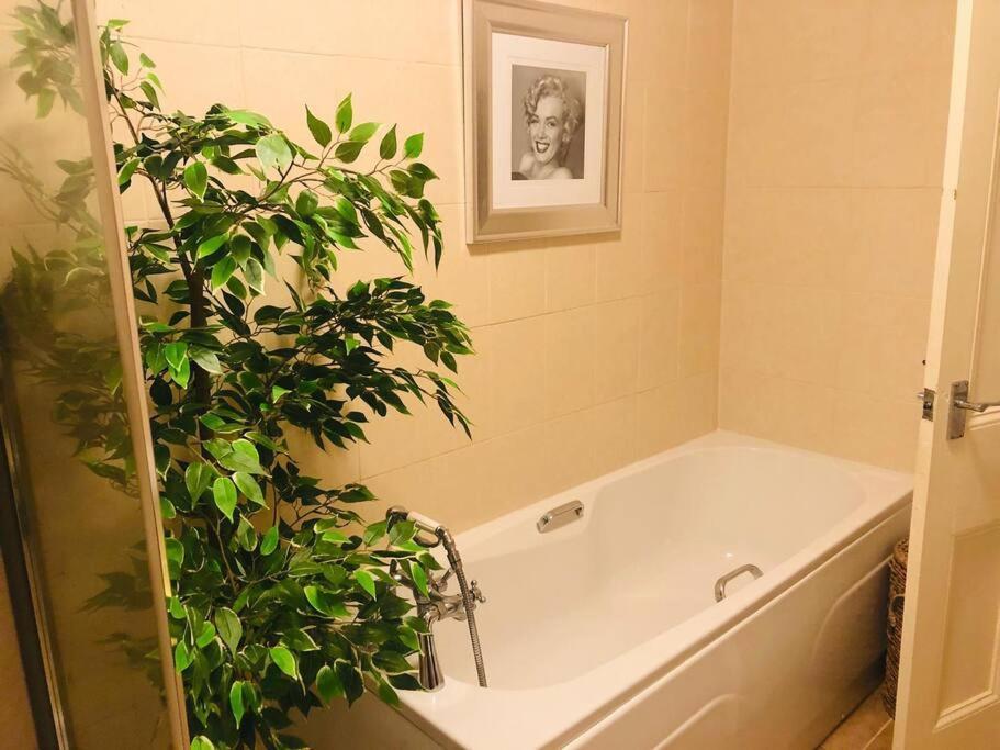 Ilkley Garden Suite エクステリア 写真